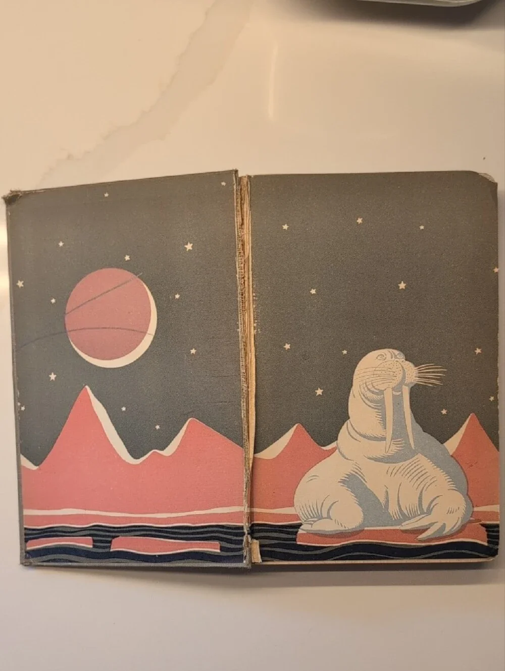 Vintage 1922 My Northern Exposure 1st Ed Antique Book Rare Collectible UNIQUE